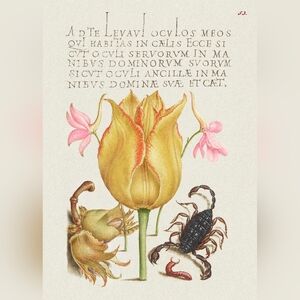 Medieval Botanical Art Print with Scorpion